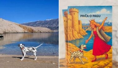 Pago the Dalmatian from Pag inspires a children’s picture book