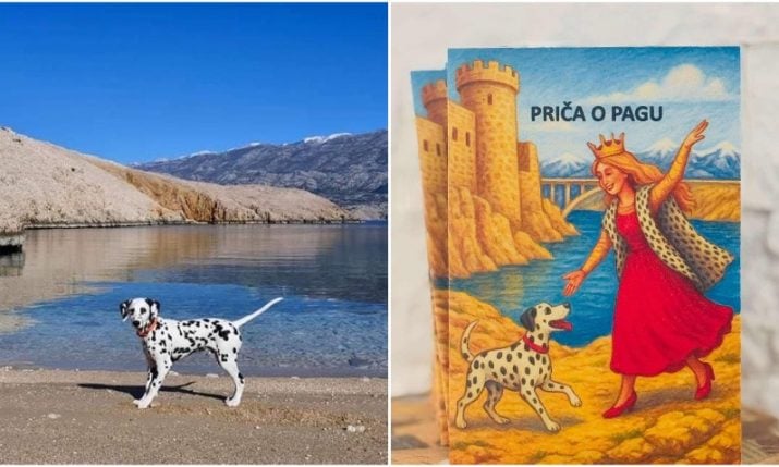 Pago the Dalmatian from Pag inspires a children’s picture book