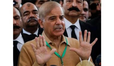 Pak's economic reforms under IMF's loan strong so far: IMF representative