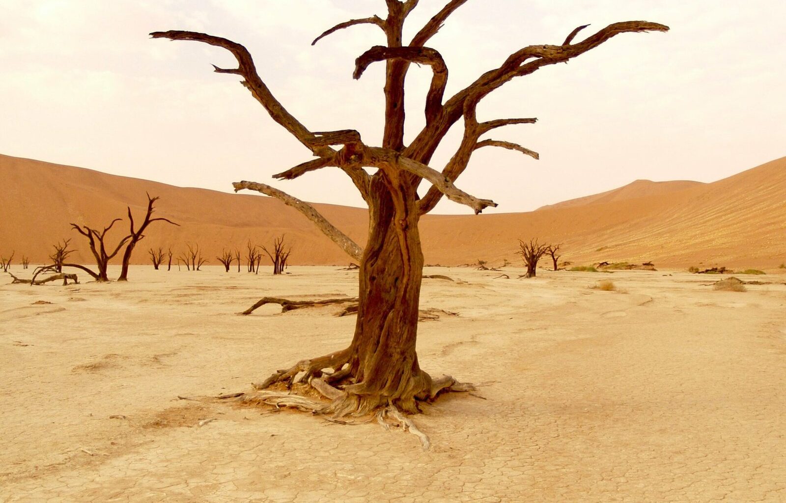 UN report warns Turkey likely to face serious drought by 2030, urges immediate gov’t action