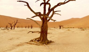 UN report warns Turkey likely to face serious drought by 2030, urges immediate gov’t action