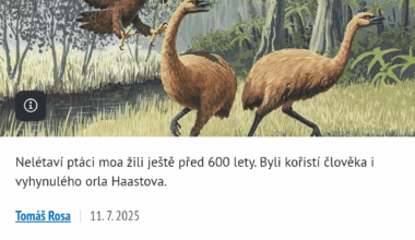Konečně dělají vědci něco pro lidi, už se těším, až budu mít na zahradě 3,6m vysokou slepici. Jaké další zvířátka potřebujeme zpět?