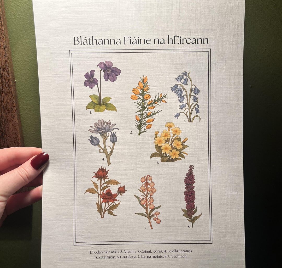 Wildflowers of Ireland print Irish version