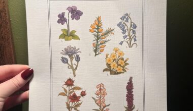 Wildflowers of Ireland print Irish version