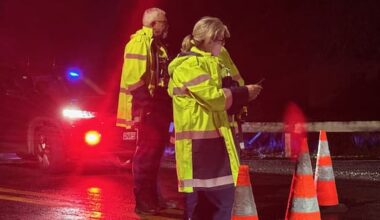 Teenager dies in hospital after 'traumatic' crash in Kumeū