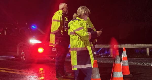 Teenager dies in hospital after 'traumatic' crash in Kumeū