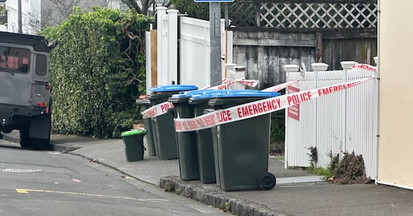 Newborn baby's body found in bin in Auckland's Freemans Bay
