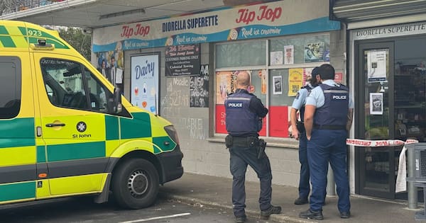 Six youths in custody after Auckland shoplifting incident