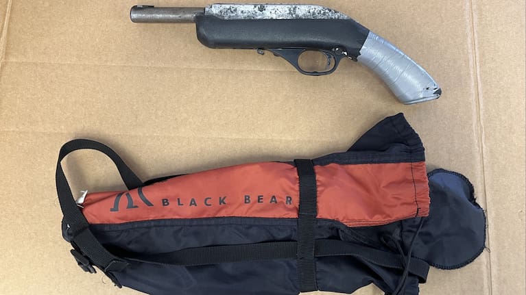 Police said they located two firearms