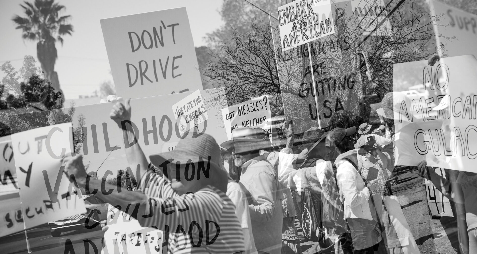 Politics and science can mix