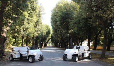 Pope Leo XIV given 2 electric, eco-friendly ‘popemobiles’ for travel – Catholic World Report