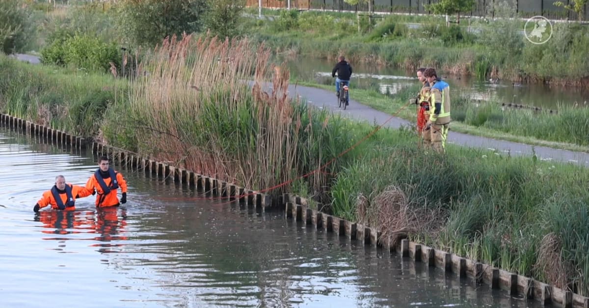 Verdrinkingen in Nederland op hoogste niveau in bijna 30 jaar