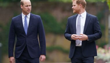 Why Prince Harry and Prince William Won't Inherit Princess Diana's Childhood Home