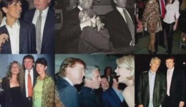Trumps “purely professional” relationship with Epstein.