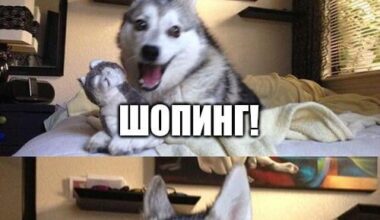 Съботно