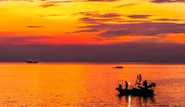 96% of oceans worldwide experienced extreme heatwaves in 2023, new study finds. The extreme marine heatwaves of 2023 may signal a tipping point for Earth's climate.