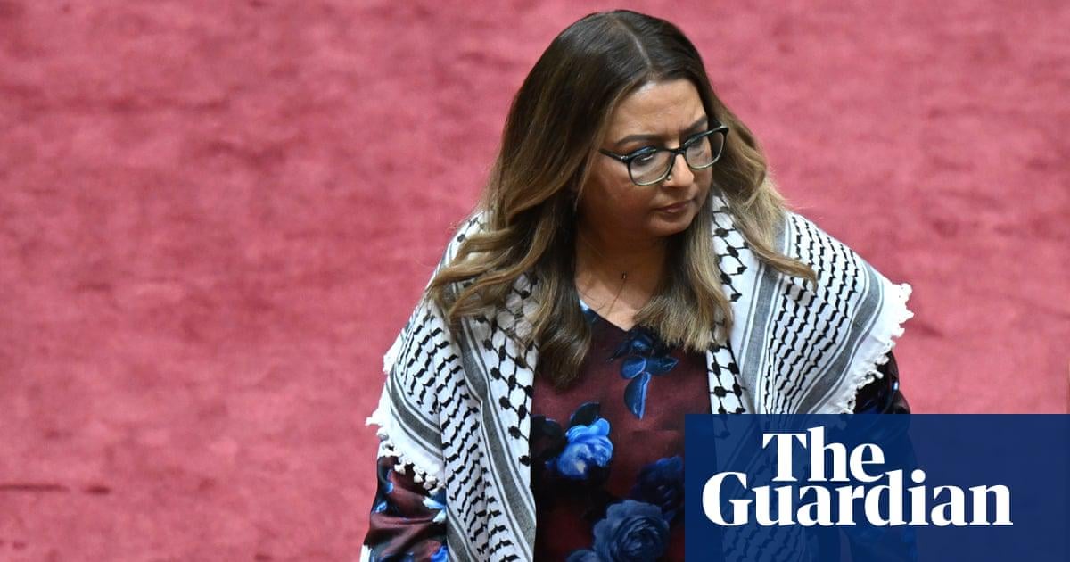 Mehreen Faruqi sanctioned for Gaza sign protest as Greens senator accused of ‘street theatre’