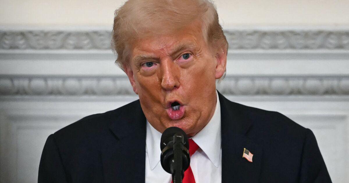 Donald Trump explains how many times Vladimir Putin sabotaged Ukraine peace deal