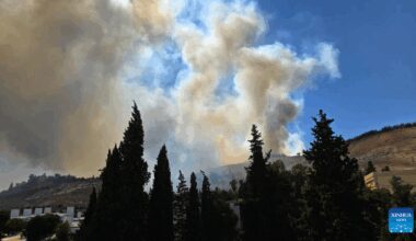 Unknown fire erupts near Syrian presidential palace-Xinhua