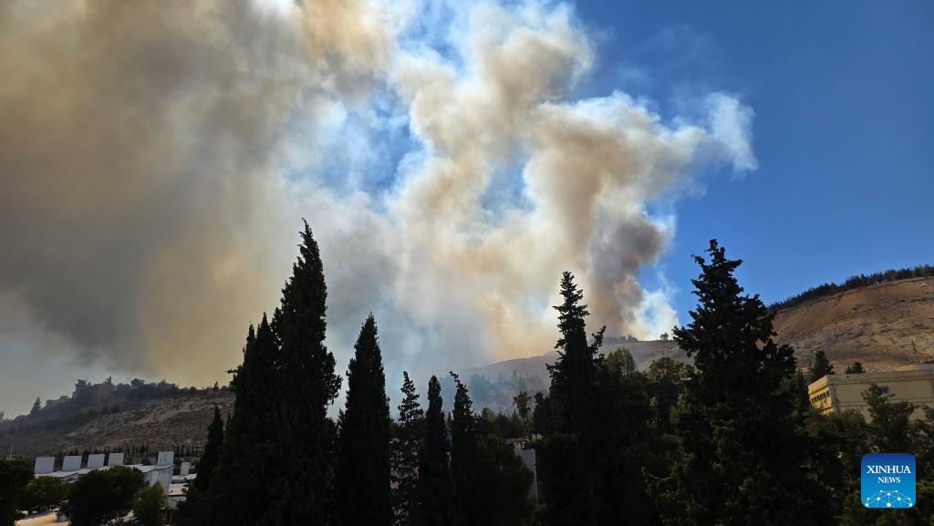 Unknown fire erupts near Syrian presidential palace-Xinhua