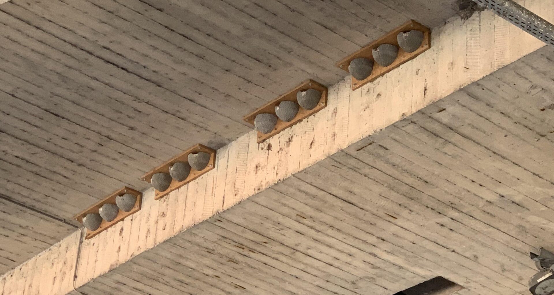 Vtáčie hniezda na autobuseovej stanici, ale prečo vyzerajú ze sa vyrábajú  manuálne?