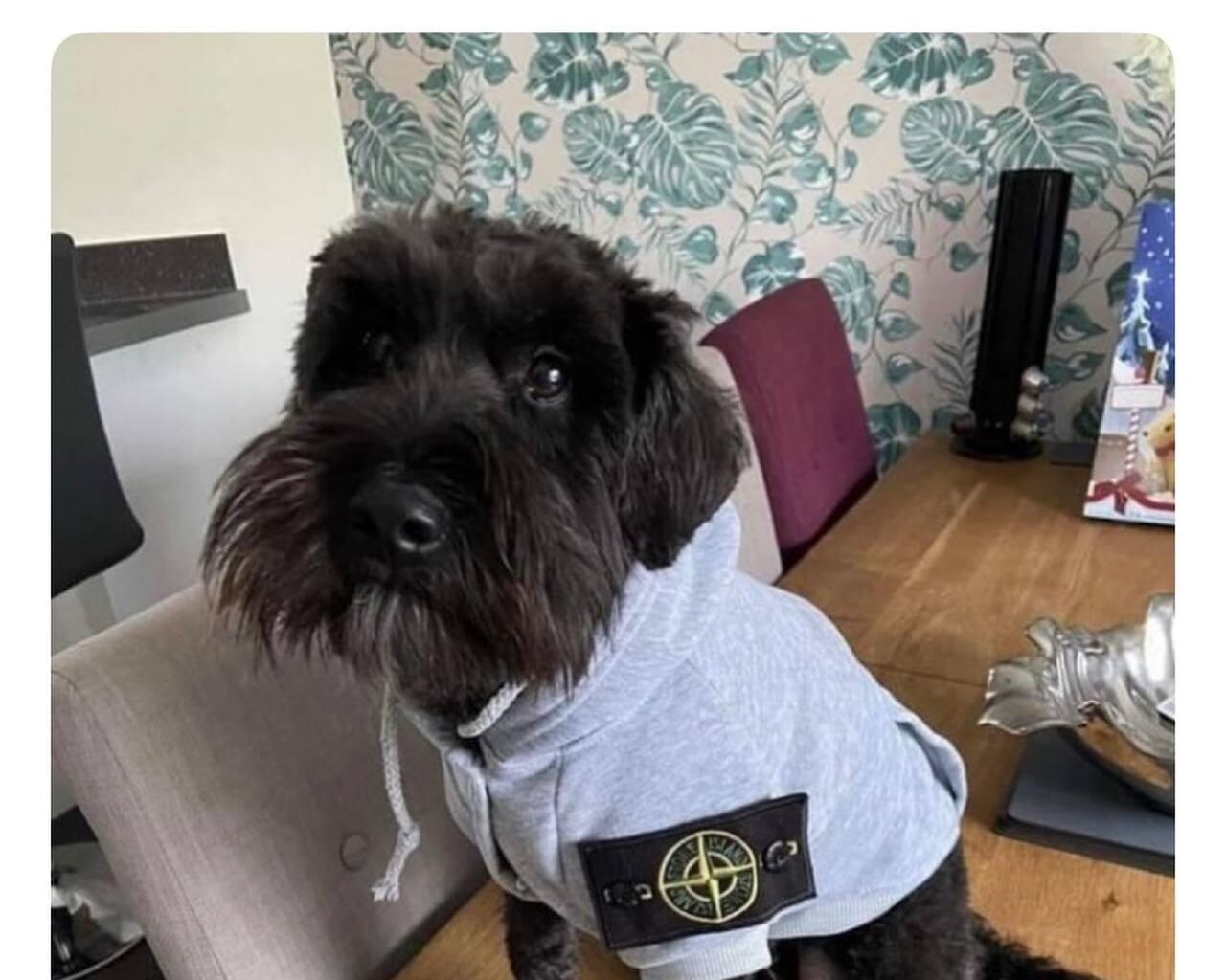 Get the badge out