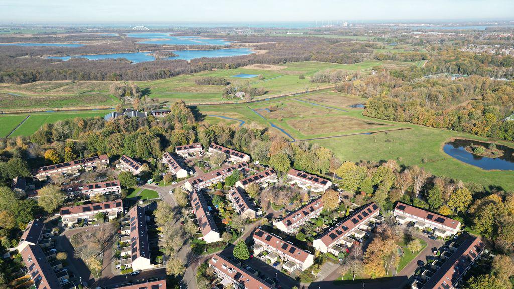 Werkgevers, bouw en natuurorganisaties: nieuw stikstofplan haalt Nederland niet van slot