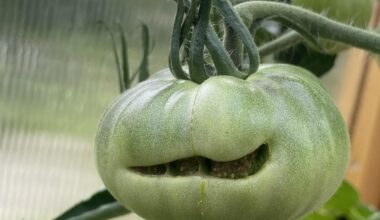 Warum passiert sowas und ist es vermeidbar?