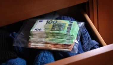 18-year-old scammer detained in Daugavpils, Latvia / Article