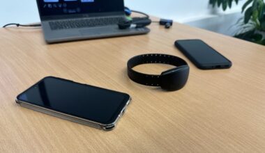 Latvia introduces electronic monitoring for violent offenders / Article