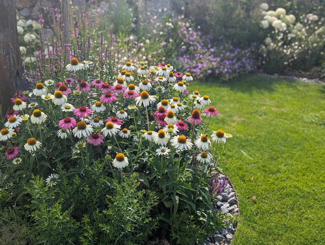 Die schönste Zeit im Jahr ☀️