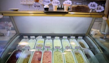 Police raid Latvian ice cream shop / Article