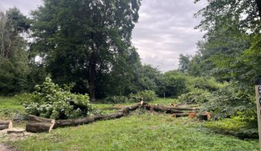 Imanta's bicycle path work moves ahead despite objections / Article