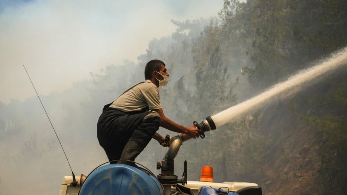 Wildfires erupt across Mediterranean as heatwave worsens