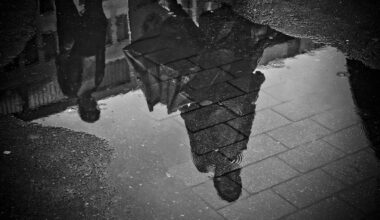 Regenpfütze @ pixabay.com
