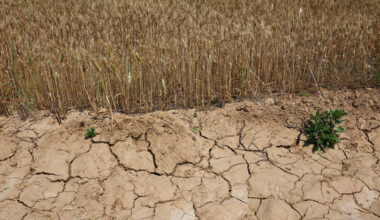 Central Banks Unprepared For Climate-Driven Labour Shocks: LSE