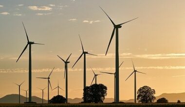 windmills