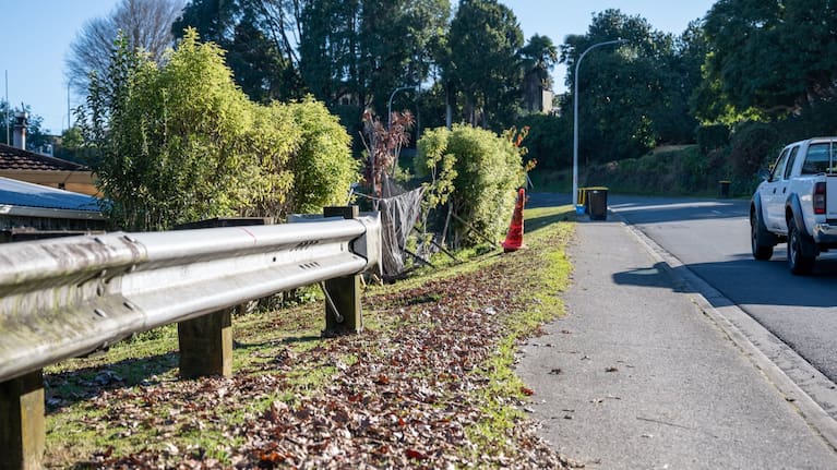 Residents of Courtney Rd in Gate Pā want the council to extend the safety barrier.