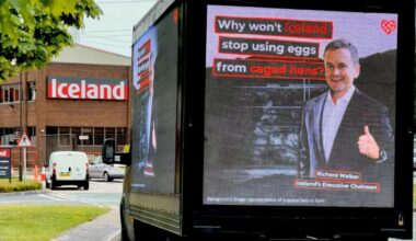 Iceland 'left with egg on its face'