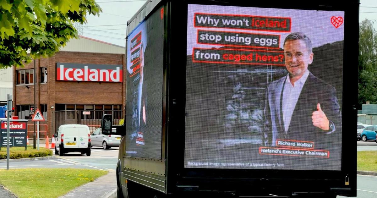 Iceland 'left with egg on its face'