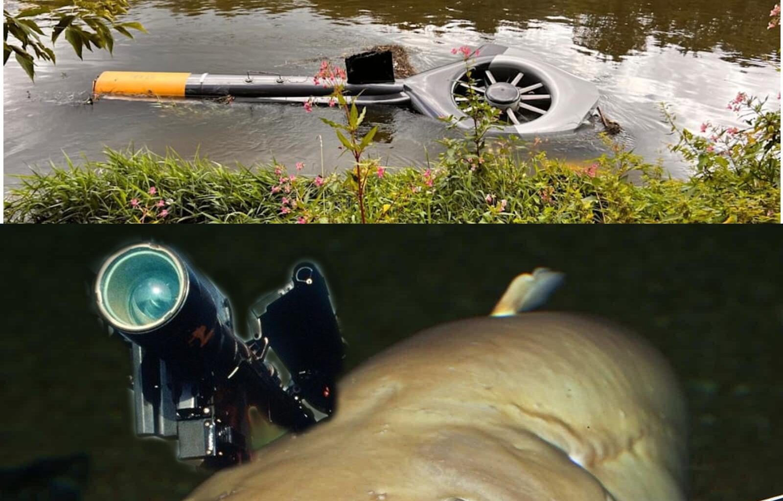 ich🐟🚀💥iel