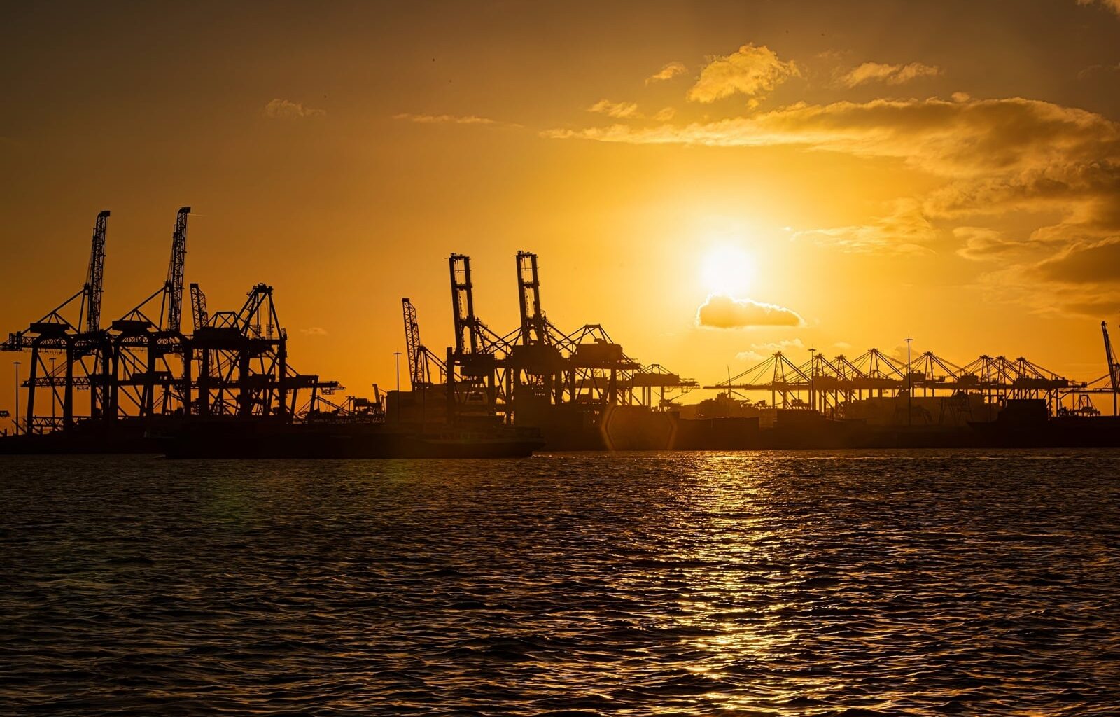 Une guerre OTAN-Russie ? Le port de Rotterdam s’y prépare déjà