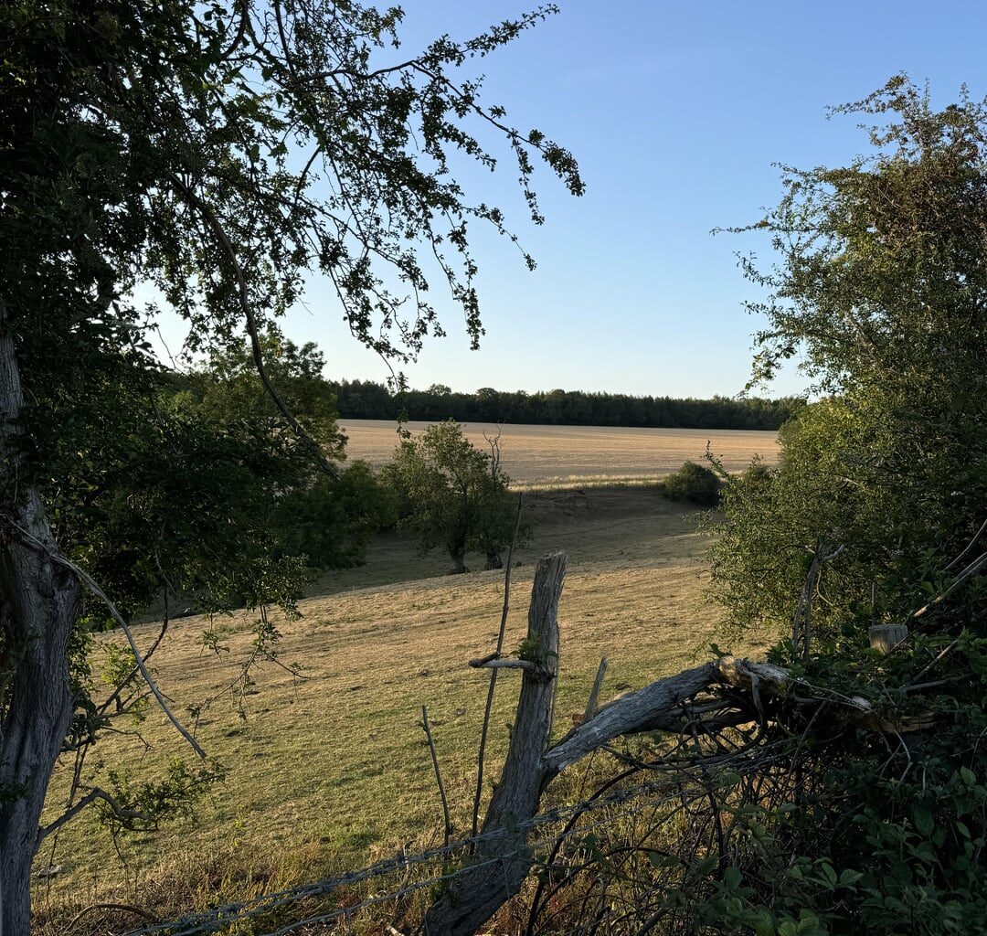 The English countryside really is something