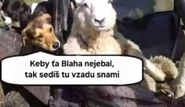 Midlil barana
