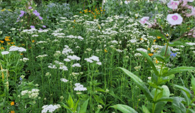 Schön und Bunt