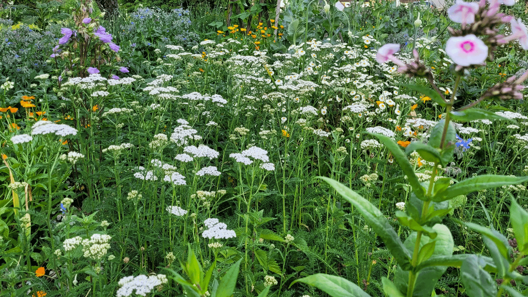 Schön und Bunt
