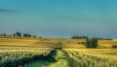 How Big Agriculture Misled the Public About the Benefits of Biofuels