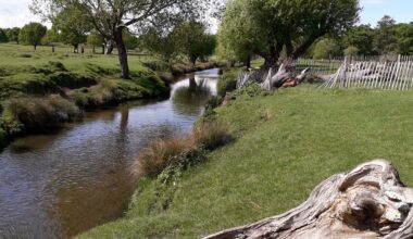 London Truly Has Some Gorgeous Parks