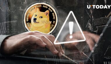 Dogecoin Contributor Issues Vital Alert to DOGE Community: What's Next?