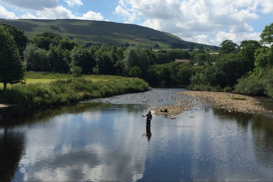 Environment Agency warns of invasive pink salmon threat to UK fisheries